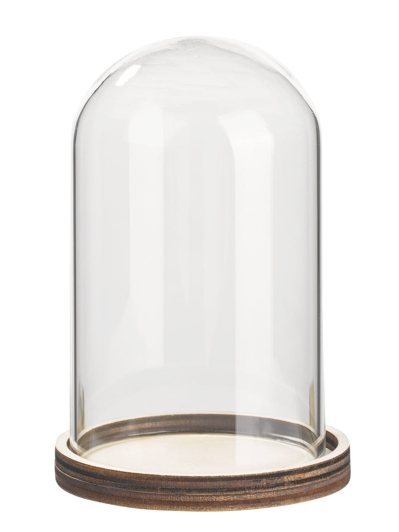 Glass dome with wooden base