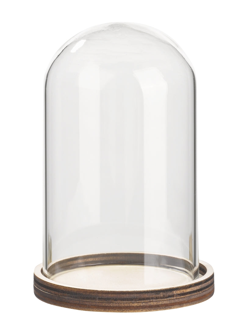 Glas-Glocke mit Holzboden