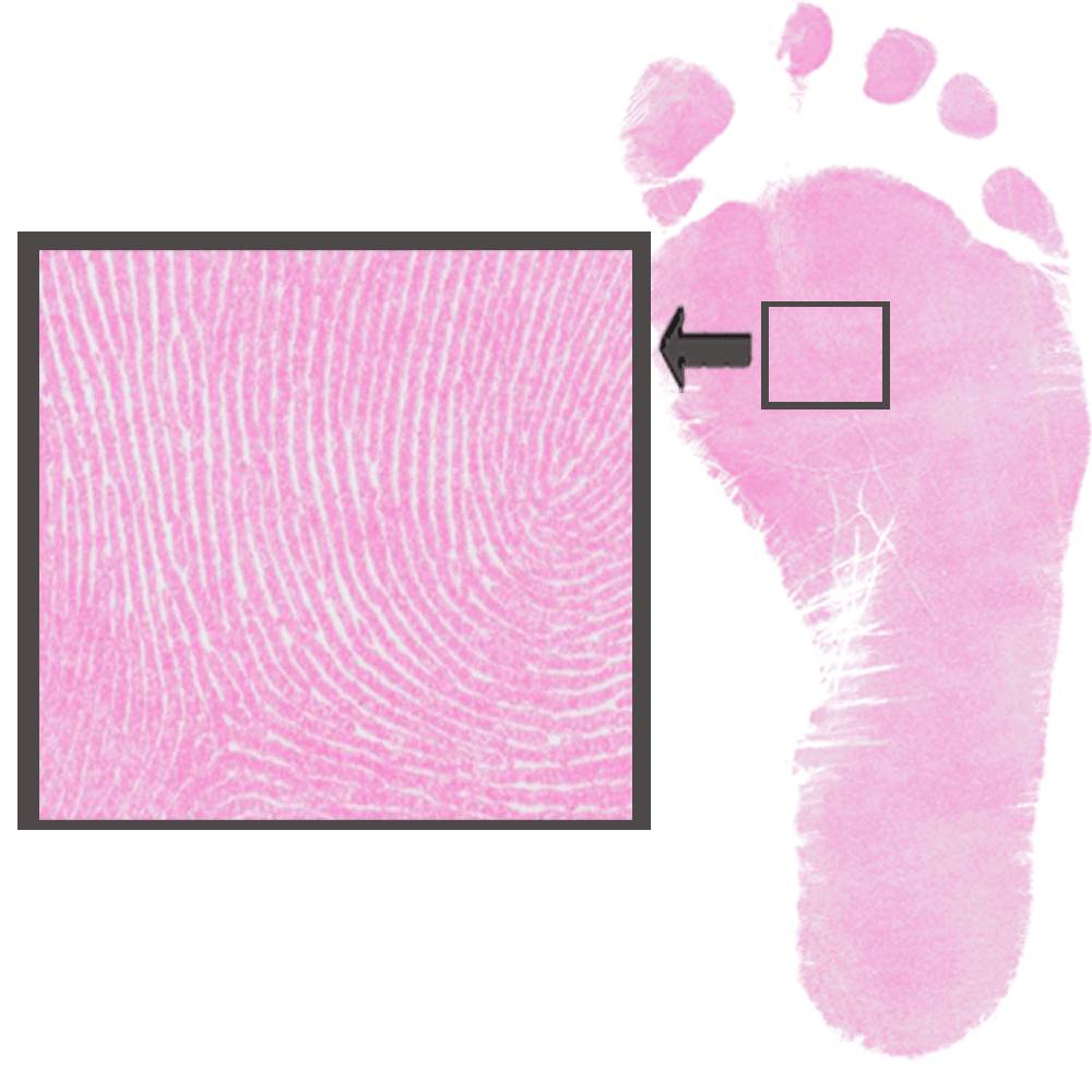 Set colorato Dactek per l'impronta dei piede e della mano